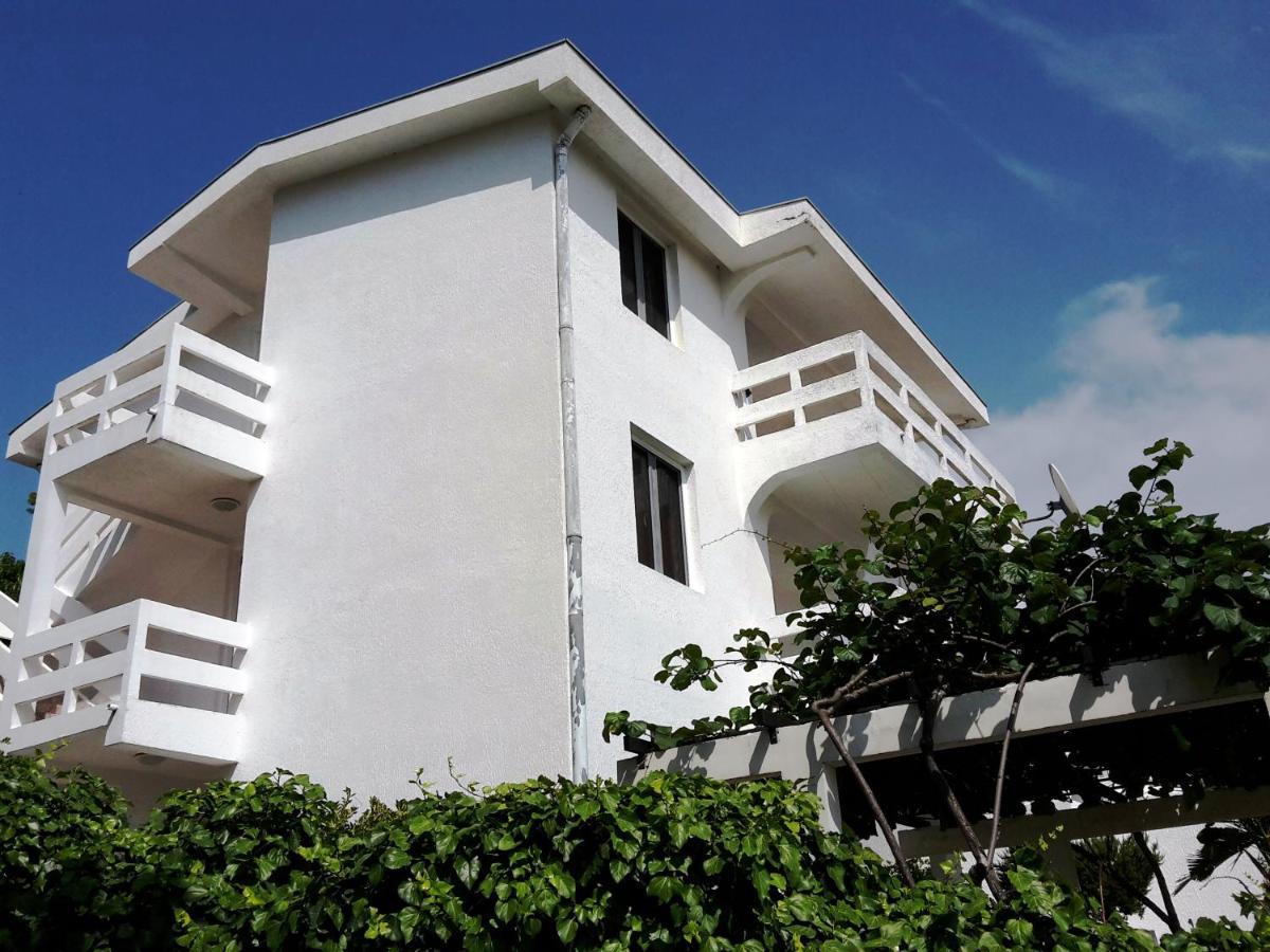 Apartment Sunny بار المظهر الخارجي الصورة